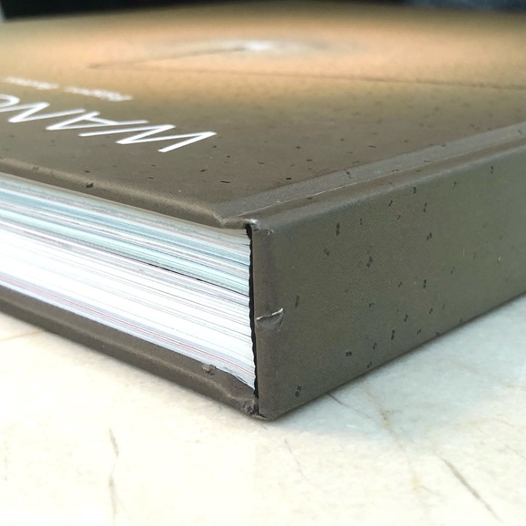 Contemporary Artist WANG ZHIYUAN Coffee Table Book Large Oversized Home Accent - Picture 11 of 16